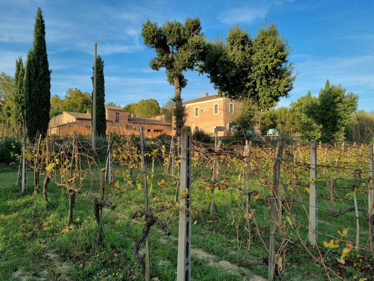 Fornace Del Conte Apartment Abbadia di Montepulciano Exterior photo